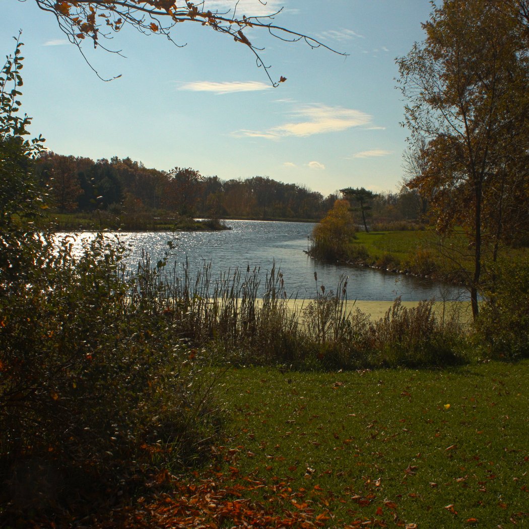 Carlisle Reservation 2